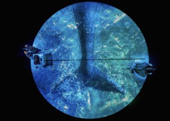 [리뷰] 목소리로 켜켜이 쌓아 올린 뮤지컬 ‘아일랜더’