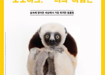 세상에서 가장 희귀한 동물원, 내셔널지오그래픽 사진전 ‘포토아크 : 너의 이름은’ – 4월 12일 북서울꿈의숲에서 개최