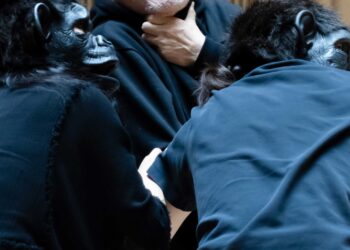 [현장스케치] 유인촌, 괴로워하는 ‘파우스트’